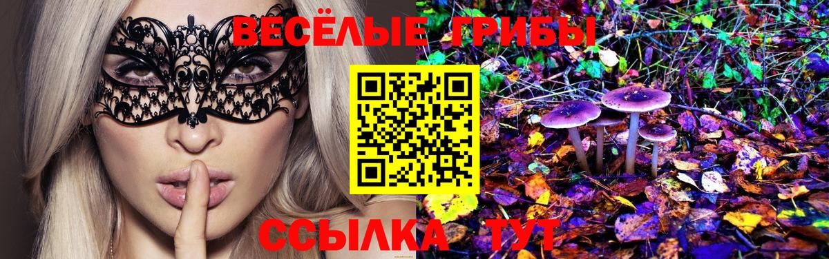 Псилоцибиновые грибы Cubensis Рузаевка